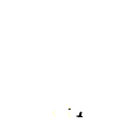 55ll
