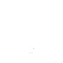 55ll